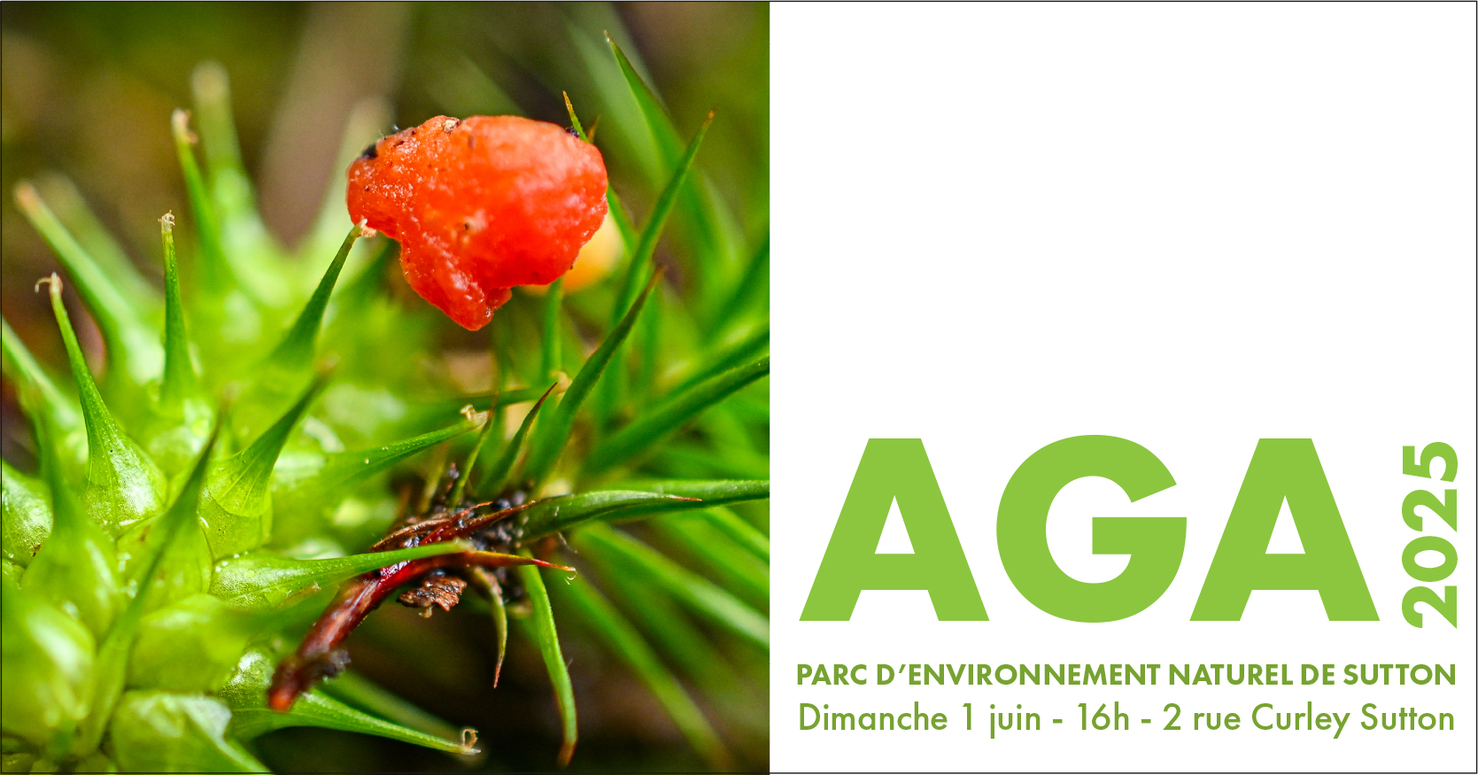 AGA 2025 site web
