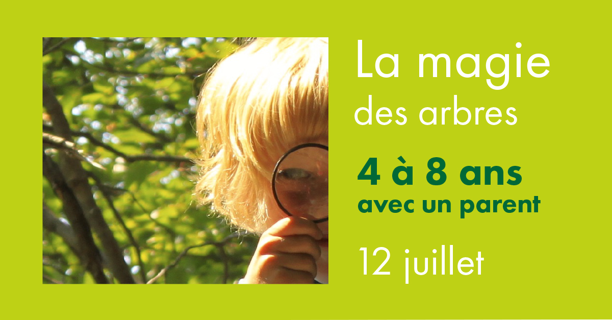 Magie des arbres