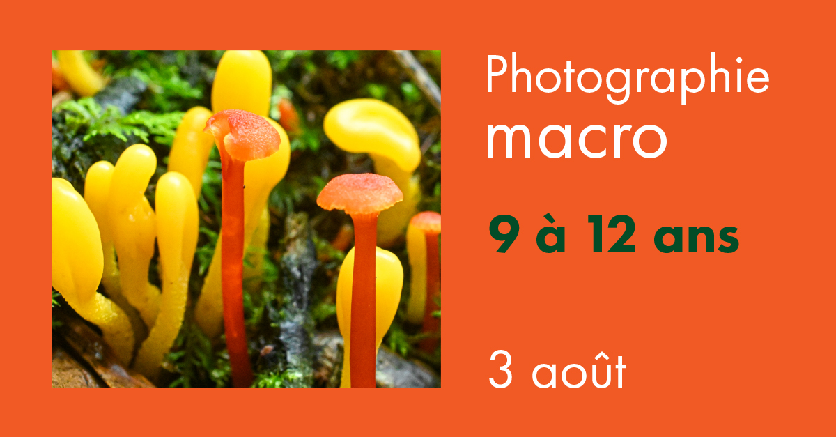 Photo macro