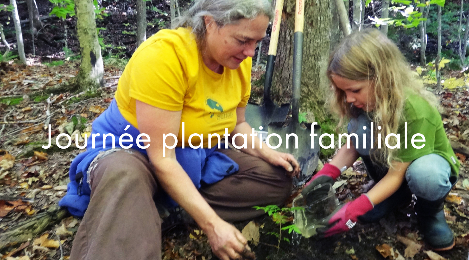 Plantation 2025