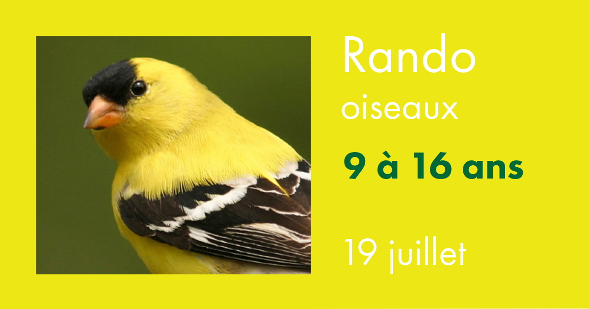Rando oiseaux
