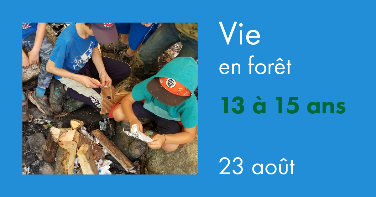 Vie en foret 2