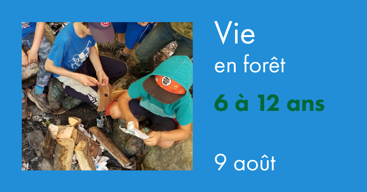 Vie en foret