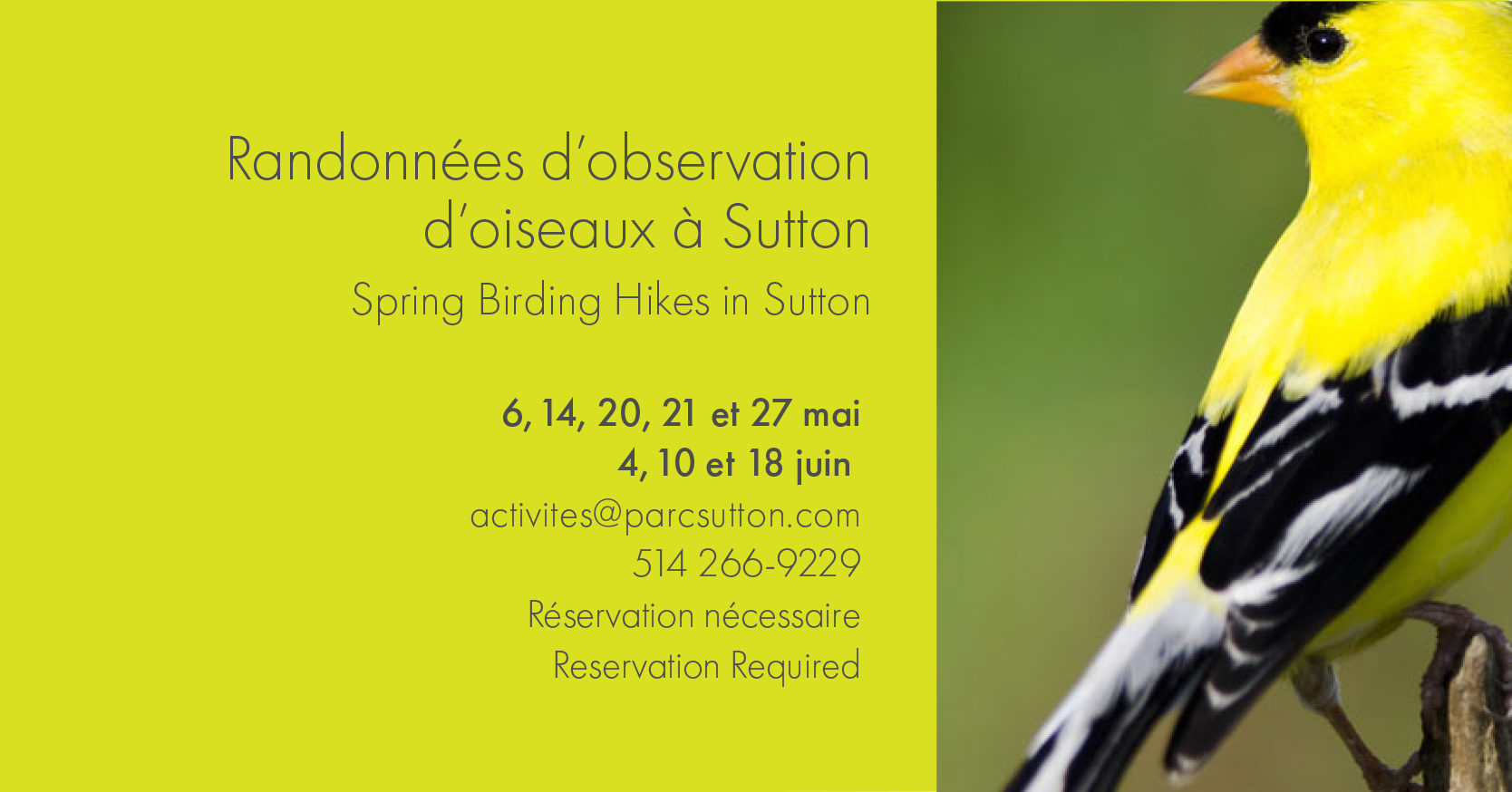 Bandeau oiseaux 2022
