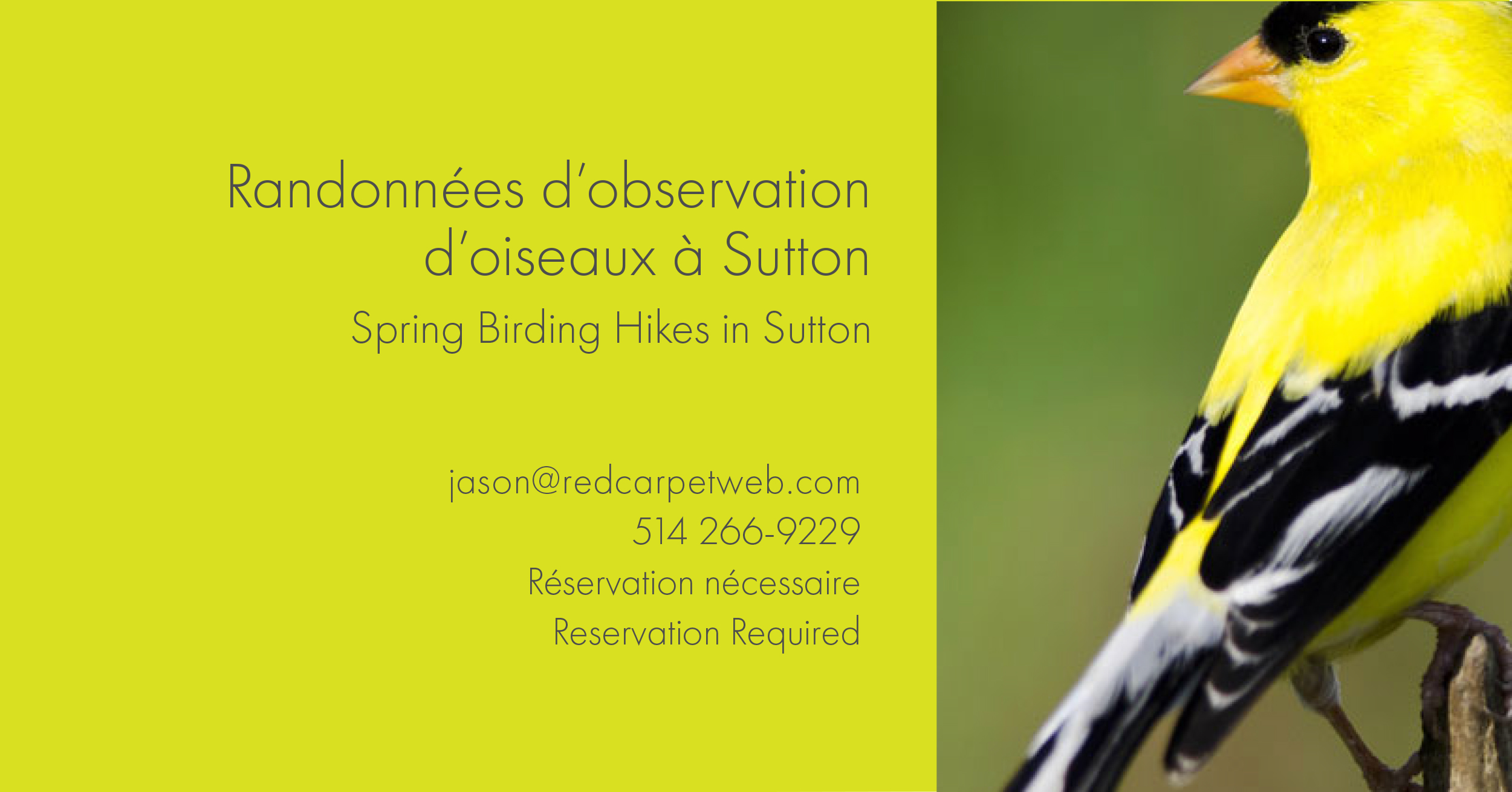 Bandeau oiseaux 2022