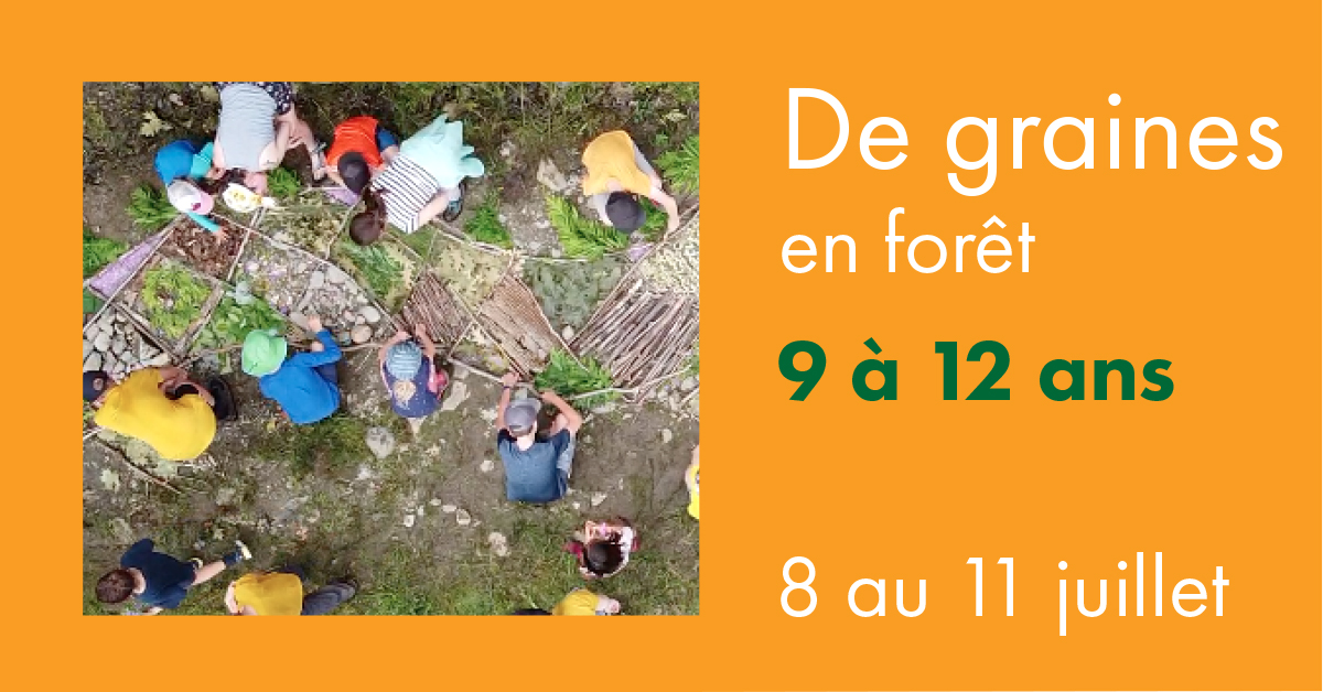De graines en foret 2