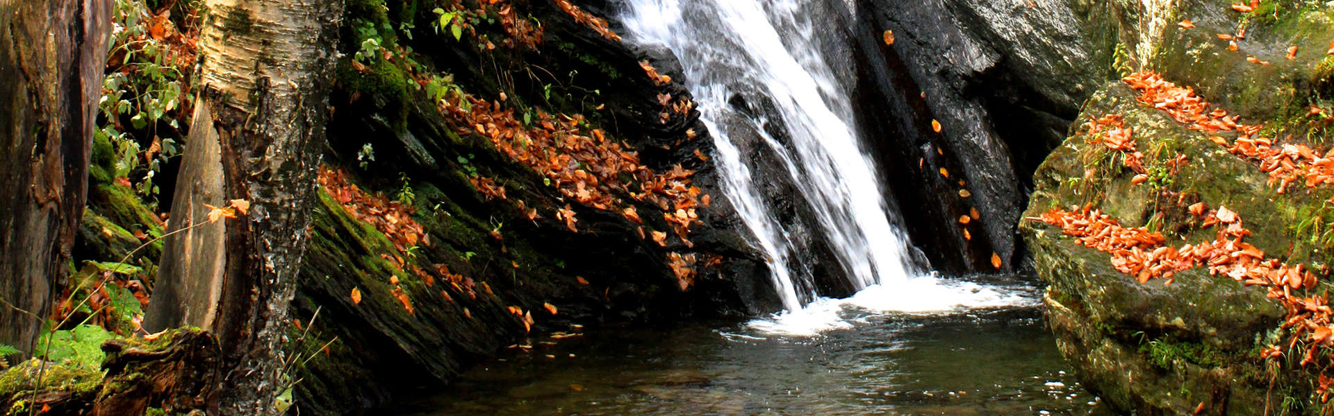 slide-4saisons